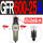 GFR600-25A 自动排水