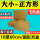 台湾纸黄色特硬-外尺寸【100个】