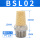 BSL02