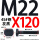 M22X120【45#钢T型】