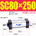 SC80X250