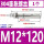 M12*120(1个)304