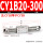 CY1B20-300