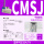 CMSJ