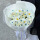 [偏爱]19朵冰雪奇缘+6朵白色郁金香花束