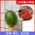 超薄皮西瓜(皮也可以吃)2K西瓜种
