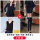 蓝色西装+9922短裙+1922西裤+89