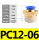 PC12-06