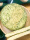 海苔米饼试吃装【散装192g