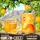杏汁250ml*2罐
