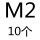 白色 M2 10只4级