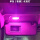 12-16款七代凯美瑞 化妆灯（2个灯泡）粉紫