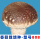 香菇-型号808-三级栽培种