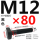 M12*80mm