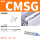 CMSG