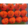 推拉美橙色彩球12个一包9.5成新