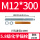 M12*300 (5.8级160套带药剂