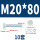 M20*80(10套)