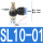 SL10-01