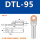DTL-95(国标)10只
