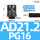 AD21.2PG16(20个)