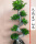 1.2米高S榕树