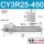 CY3R25-450