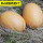 褐色鸡蛋2个(实心木质)