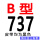 B-737 Li
