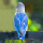 紫蓝鹦鹉一只
