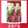 赤小豆500g*2袋【优质产区】2斤