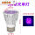 紫光5W单灯泡