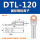 DTL-120(国标)10只