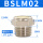 BSLM02