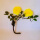 605-软树枝-黄玫瑰
