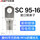95-16（10只）