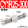 CY1R25300