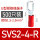 SVS24R