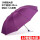紫色三人伞-直径130CM