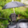 hw37镜座款支架+黑色雨伞