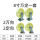 国标重型太空8寸2万向2定向（一3