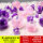 30个球+粉色/紫色羽毛+粘钩/线
