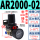 AR2000-02(带表-