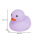 紫色8号鸭10只