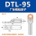 DTL95(厂标)10只