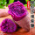 紫薯 3斤 中果单果100-200g