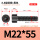 M22*55全(10支)