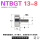 明黄色 NTBGT 13-8