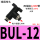 BUL-12（10件）
