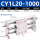 CY1L/RMTL20X1000S